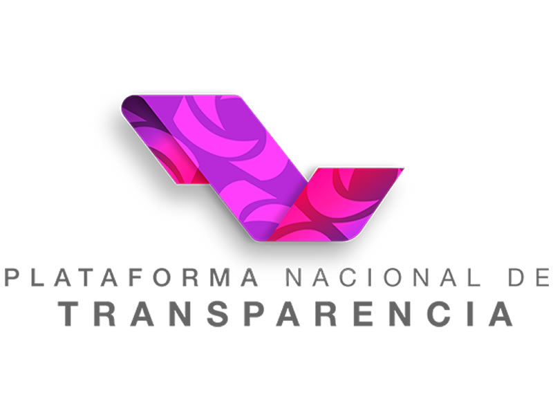 Lorem ipsum dolor sit amet, consectetur adipiscing elit. Phasellus quis elementum odio. Curabitur pellentesque, dolor vel pharetra mollis.